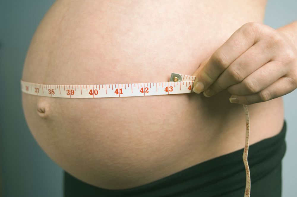 �������軳˫̥�ķ���