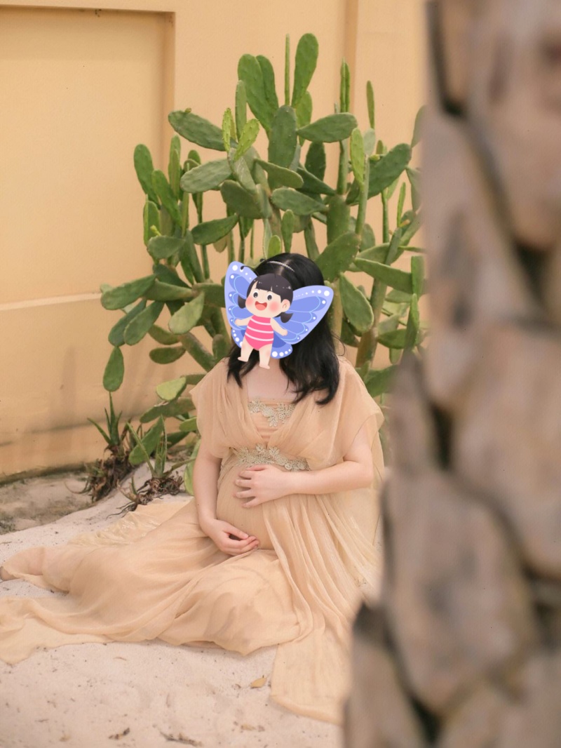 ������������������